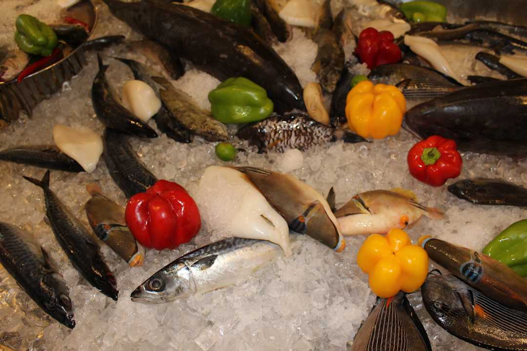Gastro Pickalbatros Alf Leila Wa Leila Resort - Neverland Hurghada
