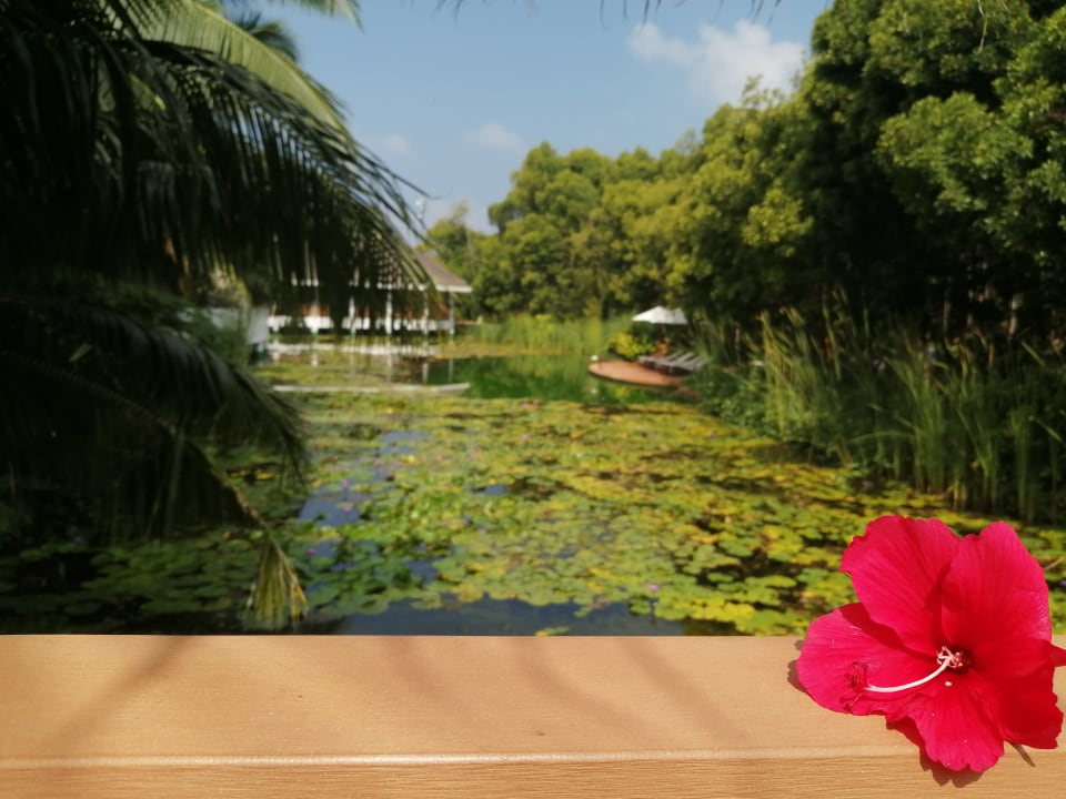 Pool Dreamland The Unique Sea & Lake Resort / Spa