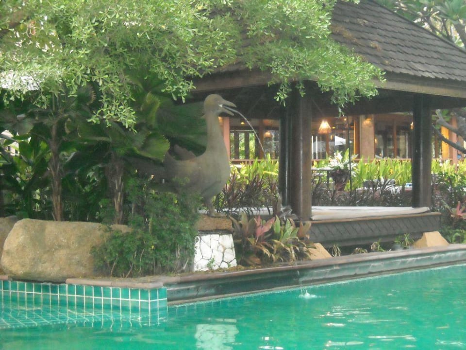 Pool Woodlands Hotel & Resort