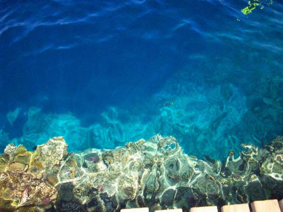 At the end of the coral Amphoras Aqua