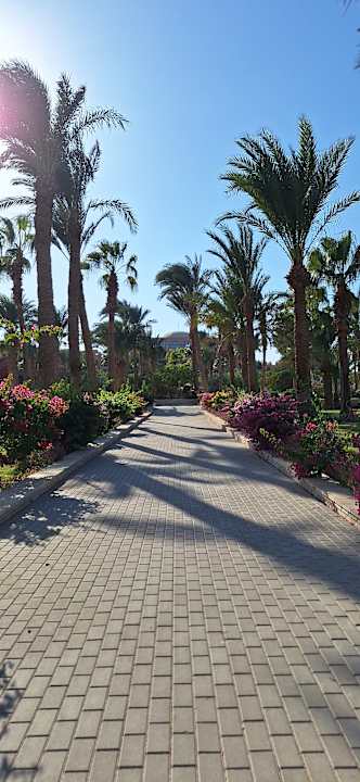 Gartenanlage Calimera Blend Paradise