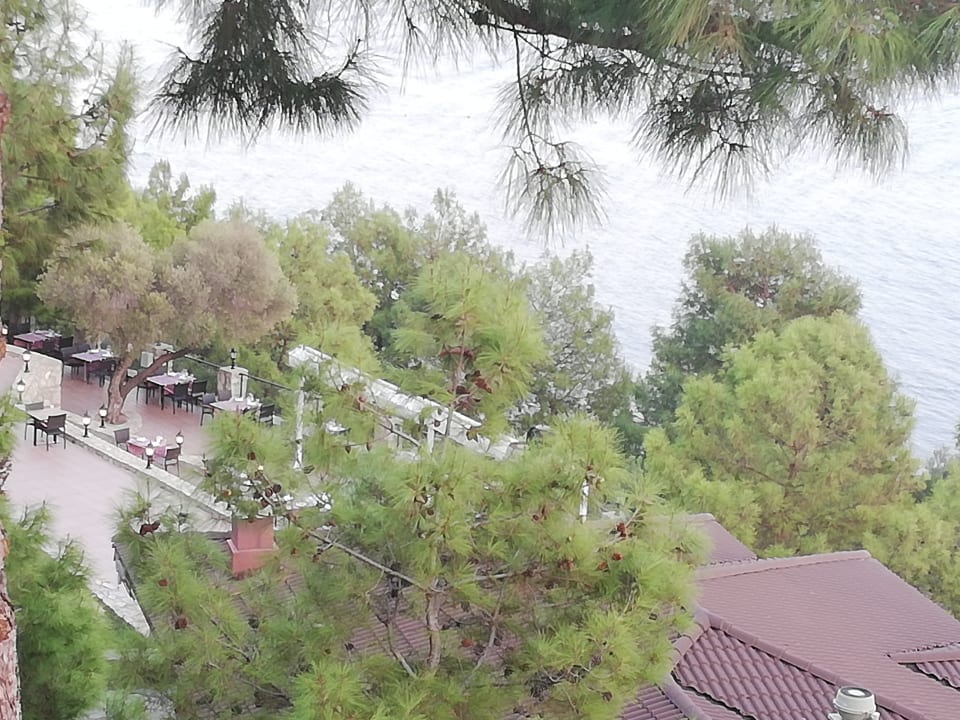 Ausblick TUI BLUE Seno - Adults Only