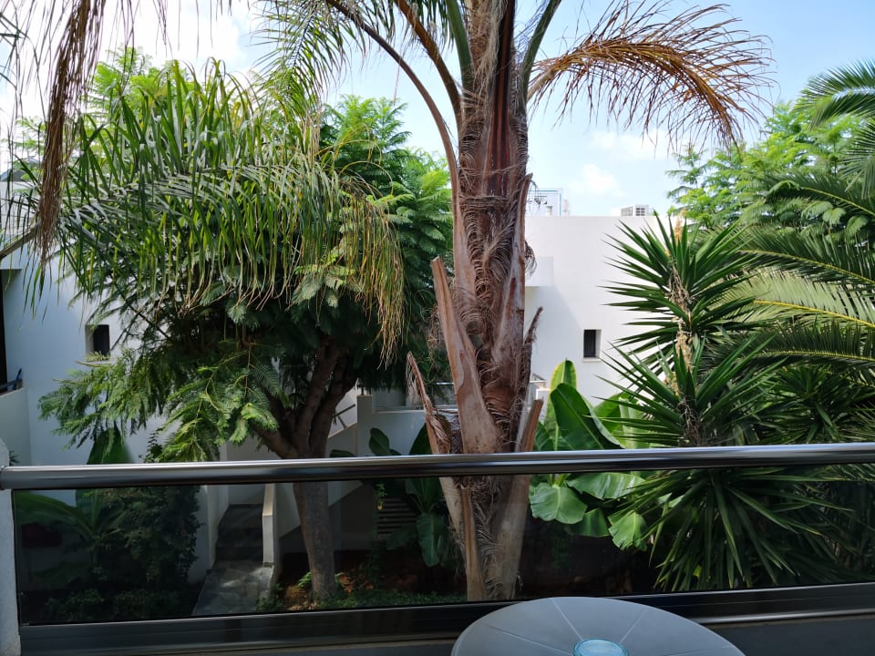 Ausblick Sentido Kyknos Beach Adults Only 16+