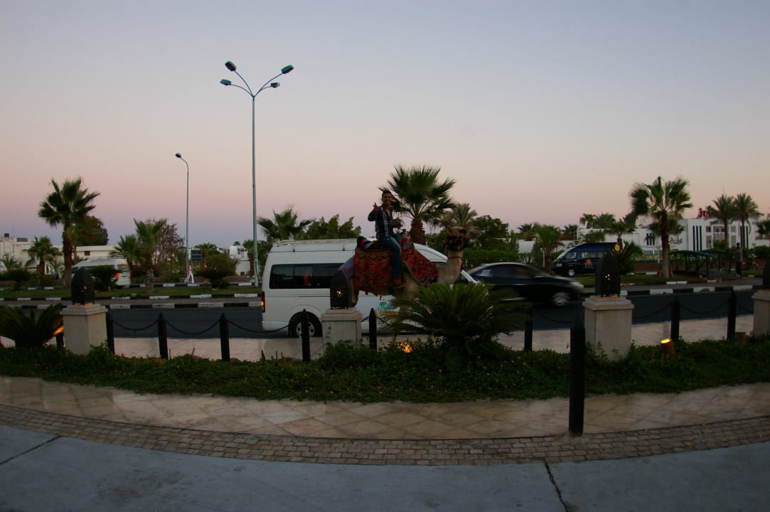 Sicht in Richtung Einkaufsmeile Ghazala Gardens