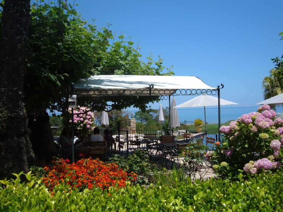 Terrasse petit déj Hotel La Solenzara