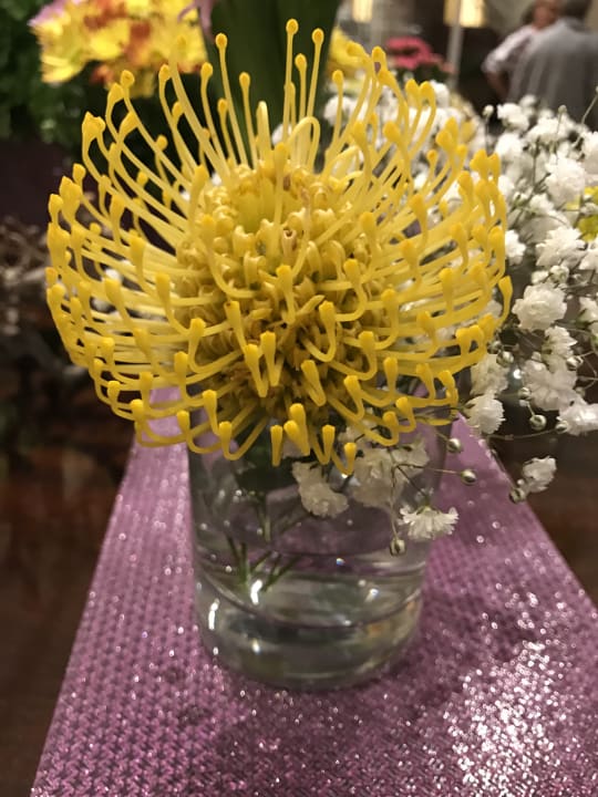 Sonstiges Pestana Royal Premium All Inclusive Ocean & Spa Resort