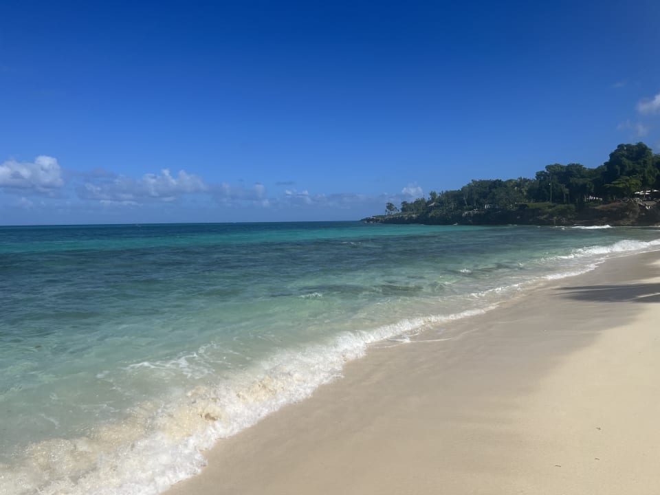 Strand Paradisus Rio de Oro Resort & Spa - Adults only