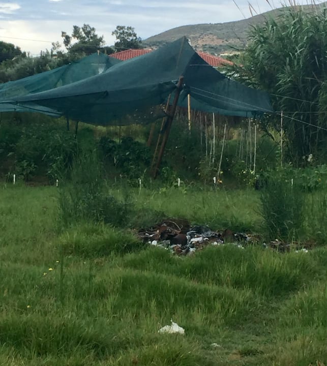 Gartenanlage Porto Koukla Beach