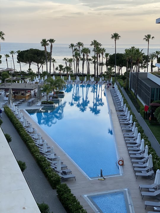 Pool Acanthus Cennet Barut Collection