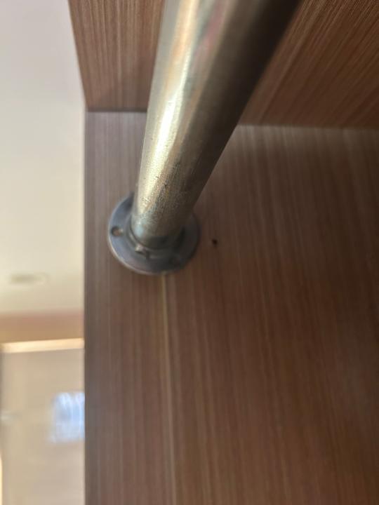 Zimmer AQI Pegasos World