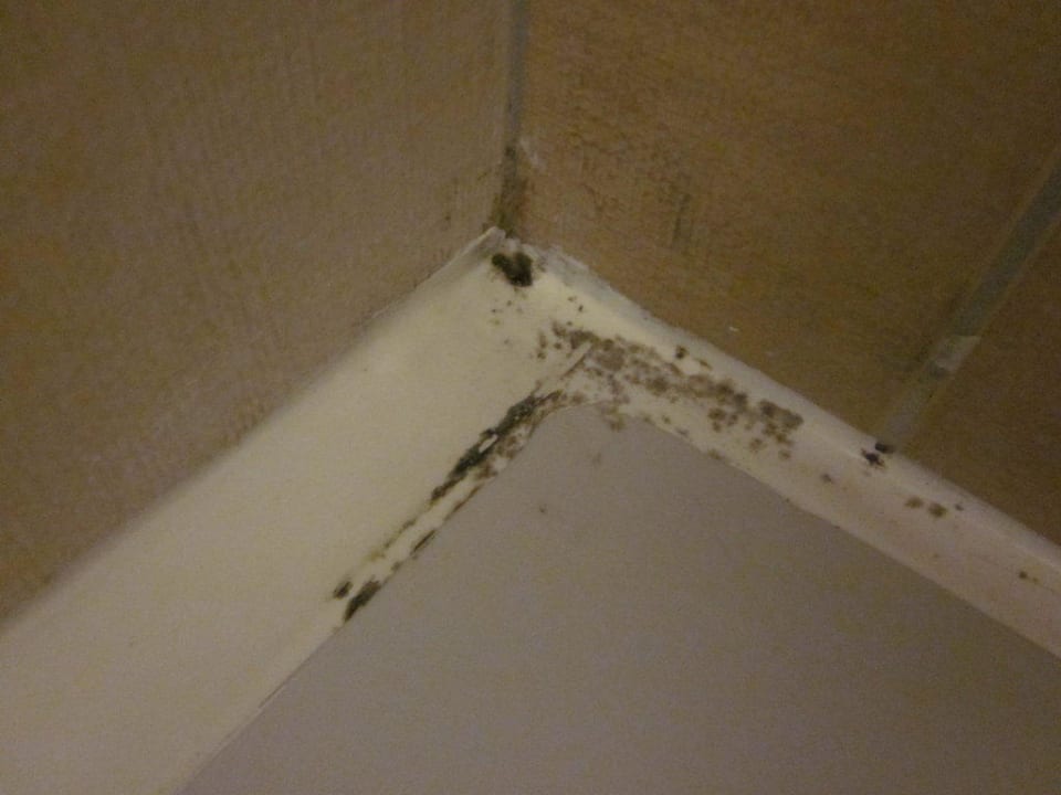 Schimmel in der Dusche Hane Family Resort