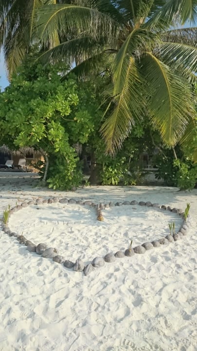 In love with kuredu Kuredu Island Resort & Spa