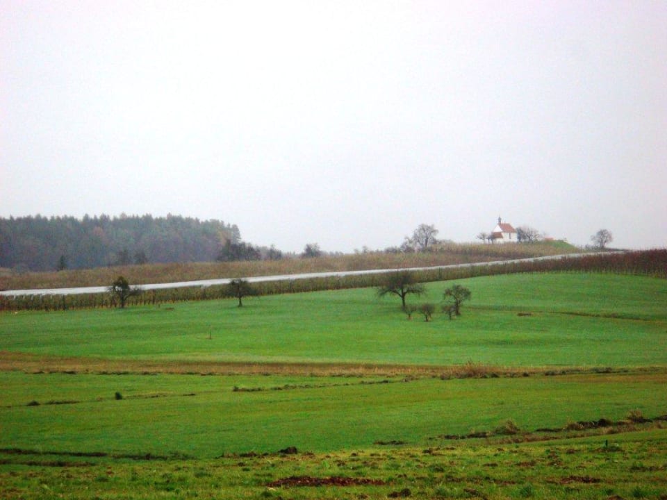 Ausblick auf die Felder Bodensee-Hotel Sonnenhof