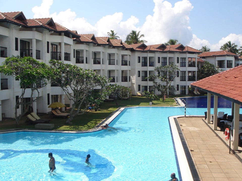 Am Pool Club Hotel Dolphin
