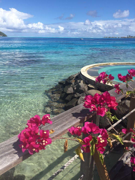 Pool Hotel Sofitel Bora Bora Marara Beach & Private Island