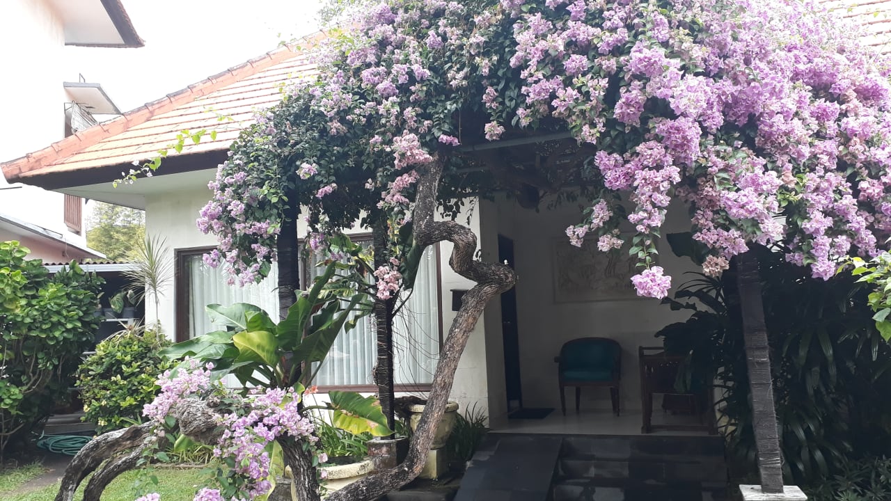 Zimmer Respati Beach Hotel
