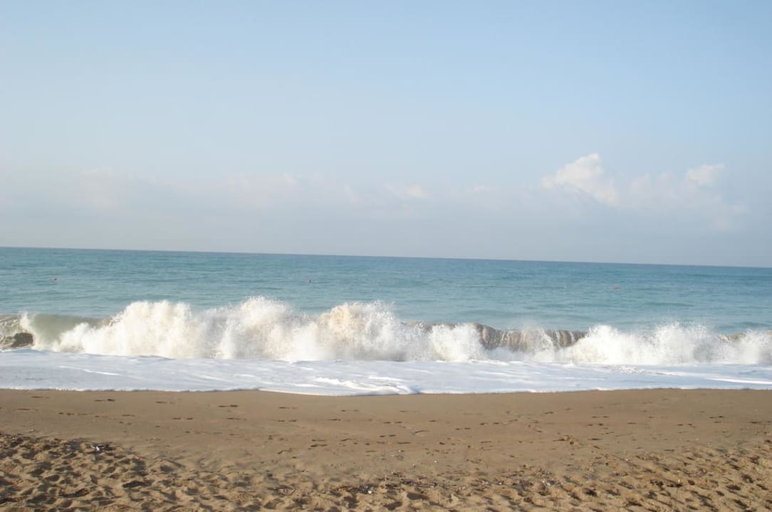 Meeresrauschen AQI Pegasos World