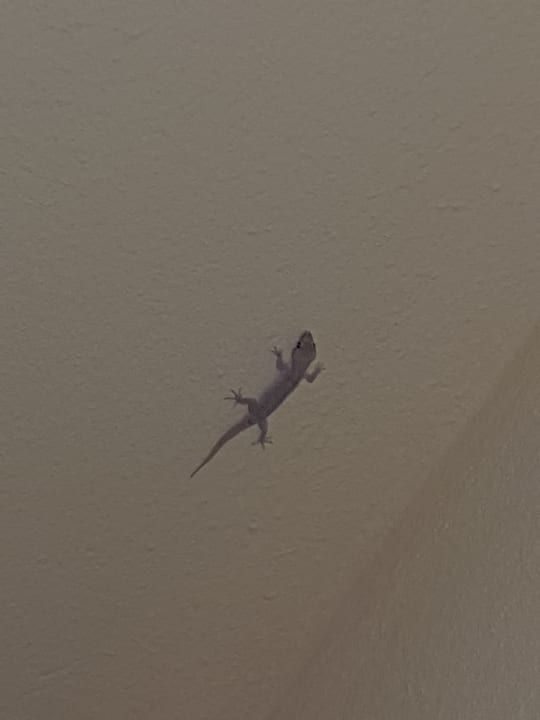 Sonstiges Casa Mare Resort