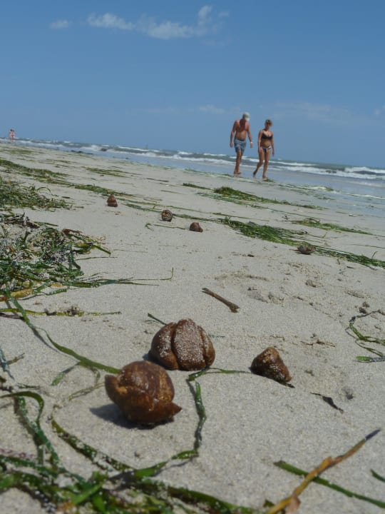 Natur! Djerba Aqua Resort