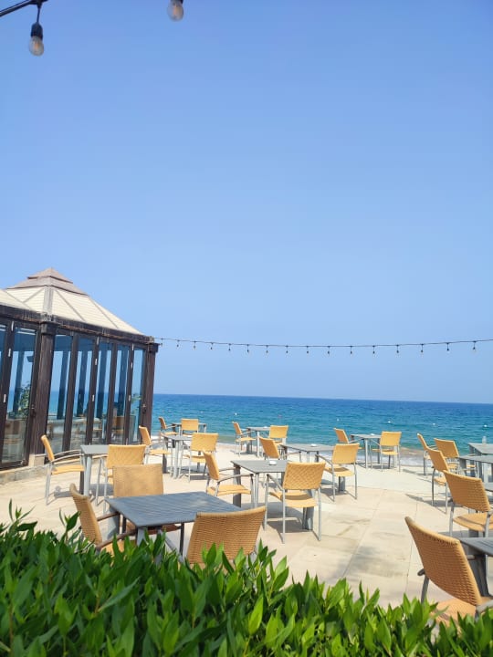 Ausblick Miramar Al Aqah Beach Resort