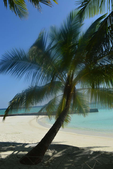 Strand Veligandu Maldives Resort Island