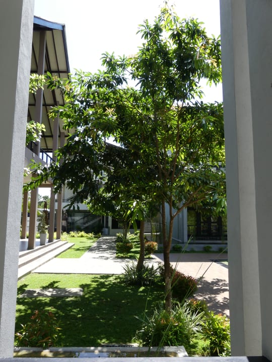 Ausblick Oak Ray Wild Yala