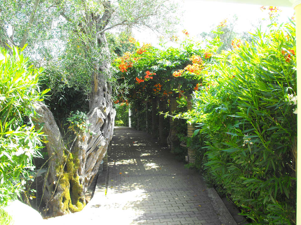 Zum Restaurant Sentido Apollo Palace