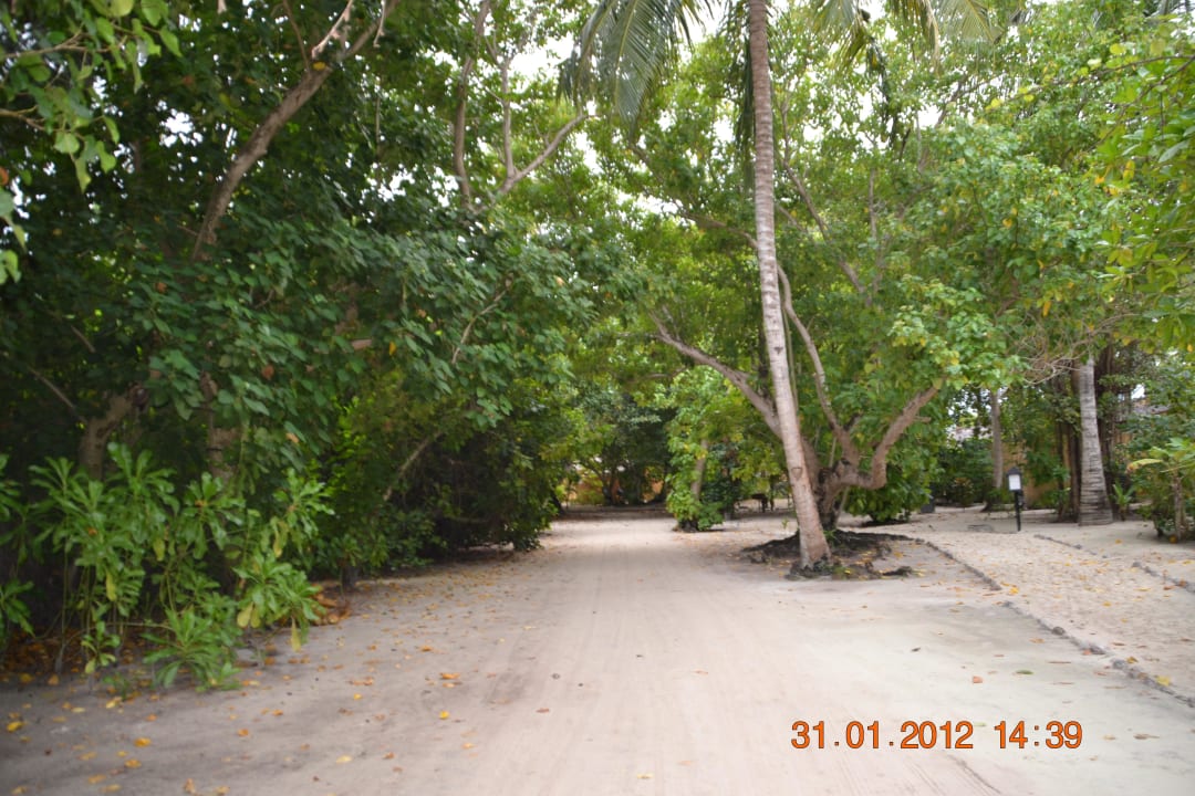 Cisza  Kuredu Island Resort & Spa