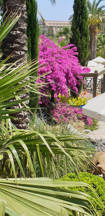 Garten Hotel Novum Garden Side