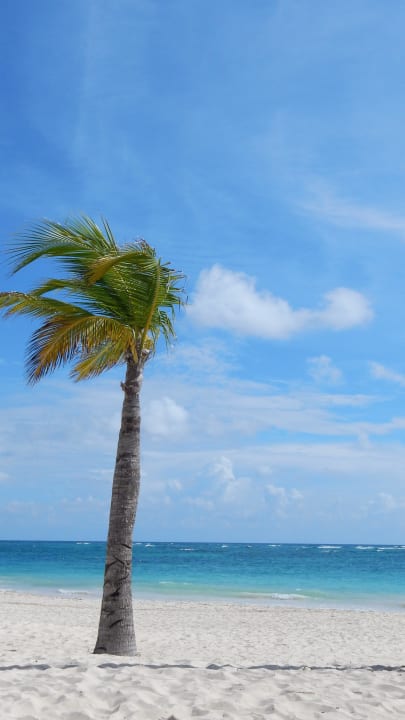 Strand JOIA Bávaro by Iberostar