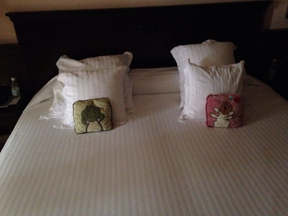 Guter Service! Occidental Jandía Royal Level - Adults only