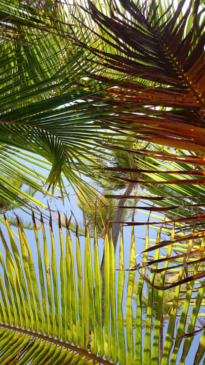 Himmel über uns am Strand Grand Palladium Select Bávaro Resort & Spa