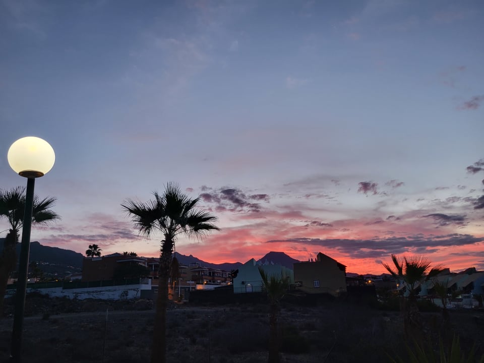 Ausblick BLUESEA Callao Garden