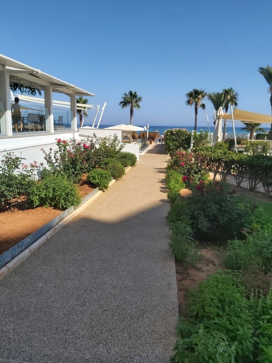 Gartenanlage Asterias Beach