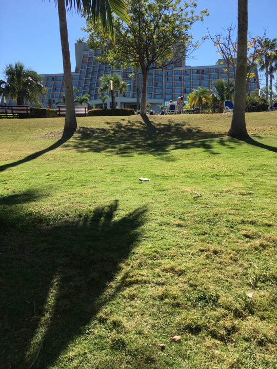 Außenansicht Blau varadero - Adults only