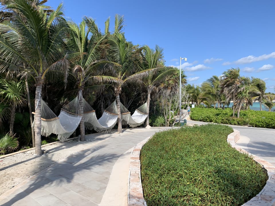 Gartenanlage TRS Yucatan Hotel - Adults only