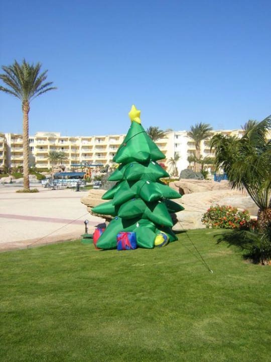 Weihnachtsbaum Palm Royale Resort - Soma Bay