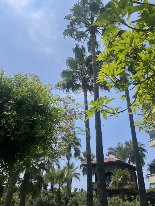 Gartenanlage Saphir Hotel & Villas