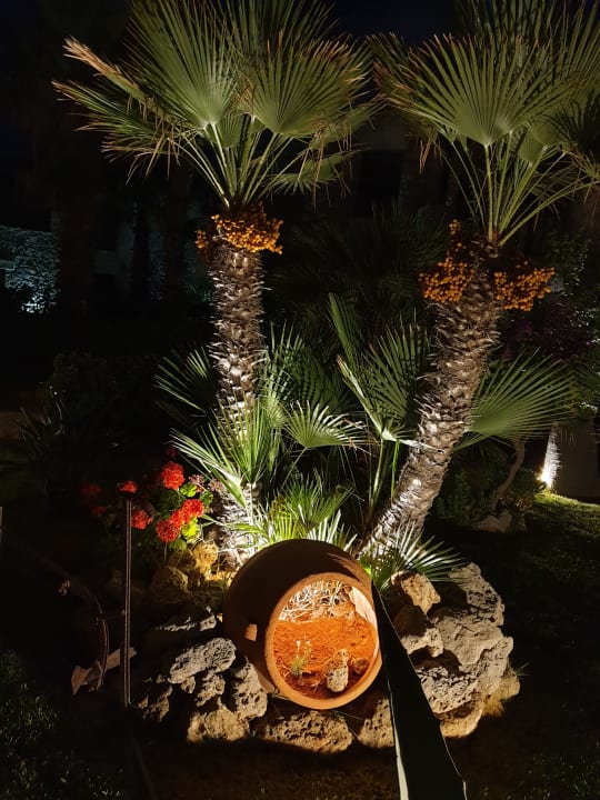 Gartenanlage Ikaros Beach Luxury Resort & Spa - Adults Only