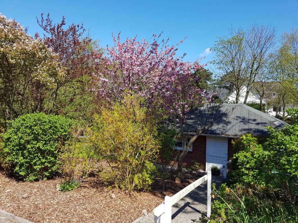 Gartenanlage Hotel kleine Auszeit - Adults Only