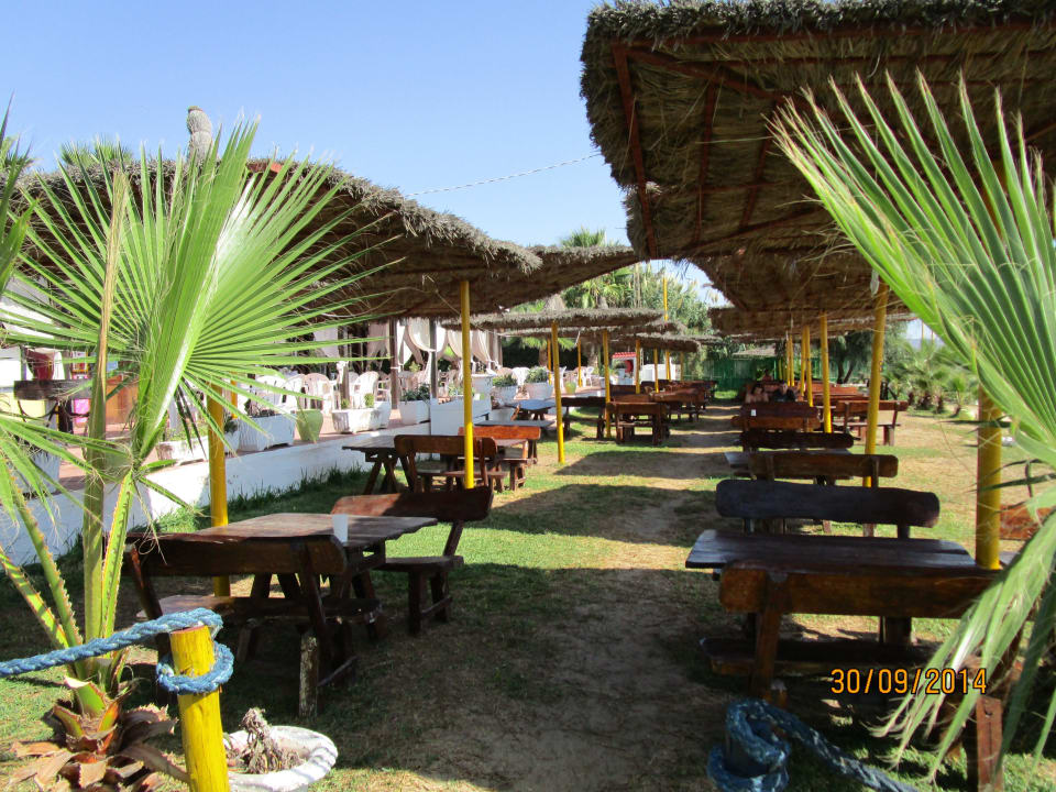 Sitzgelegenheit am Strand Hotel Nesrine