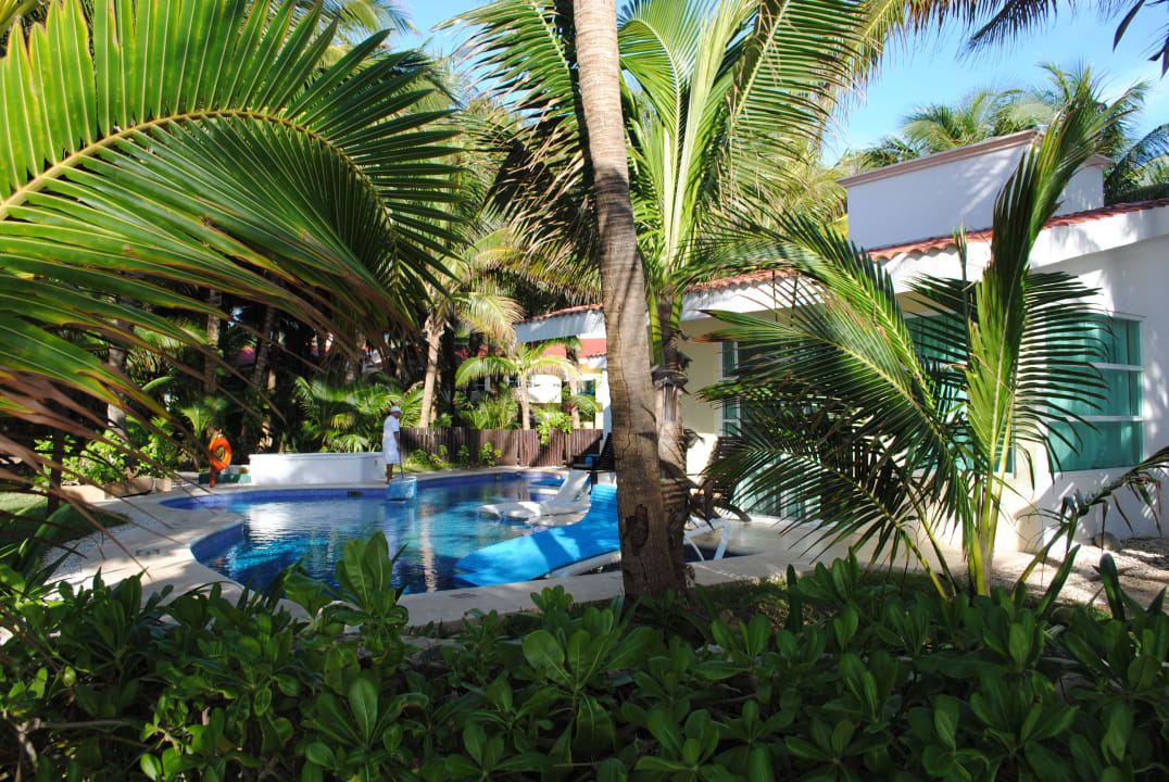 Pool unter Palmen TUI BLUE El Dorado Seaside Suites