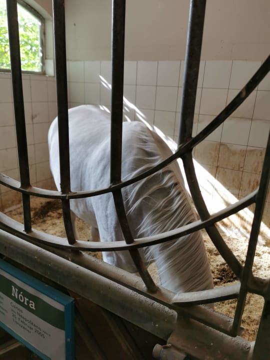 Sonstiges Posthotel Achenkirch