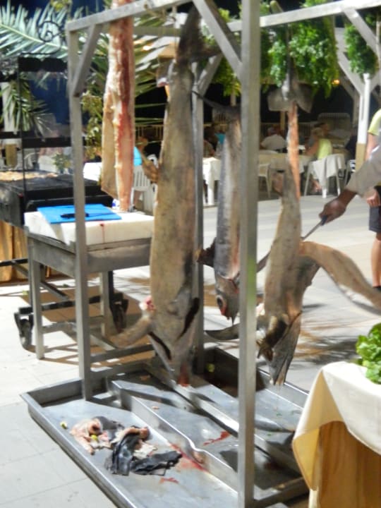 Buffet poissons Hotel El Mouradi Djerba Menzel