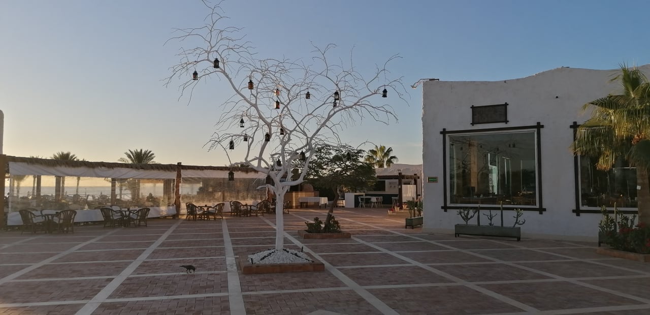 Garten Sharm Club Beach Resort