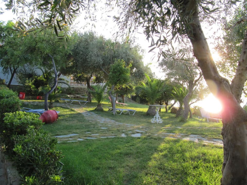 Garten Hotel Venus Beach