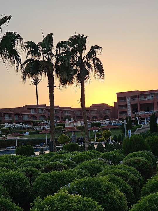 Außenansicht Pickalbatros Laguna Vista Hotel