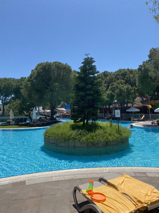 Pool Papillon Ayscha