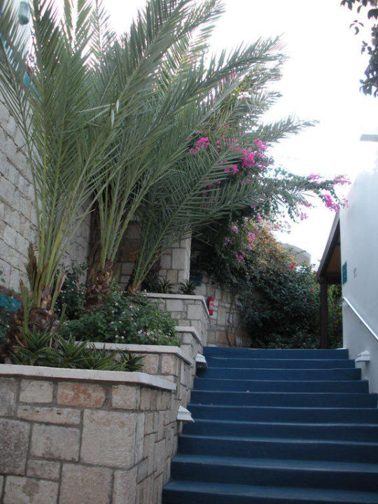 So macht Treppen steigen Spaß Salmakis Resort & Spa