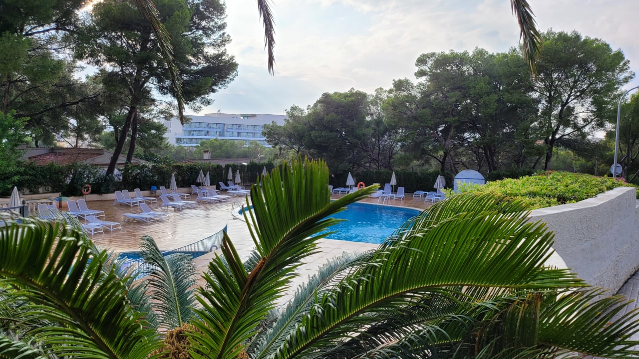 Pool Grupotel Orient
